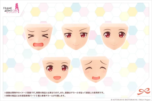 le grand escompte SOUSAI SHOJO TEIEN :  AFTER SCHOOL GOURAI BIRTHDAY SET 17