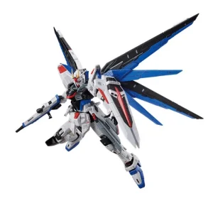 FM 1/100 ZGMF-X10A FREEDOM GUNDAM VER.GCP REMISE 13