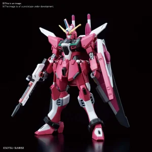 HGCE 1/144 INFINITE JUSTICE GUNDAM grand choix 10